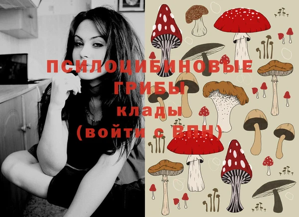марки lsd Балабаново