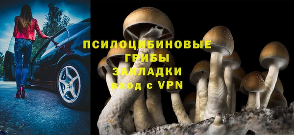 ALPHA PVP Балахна